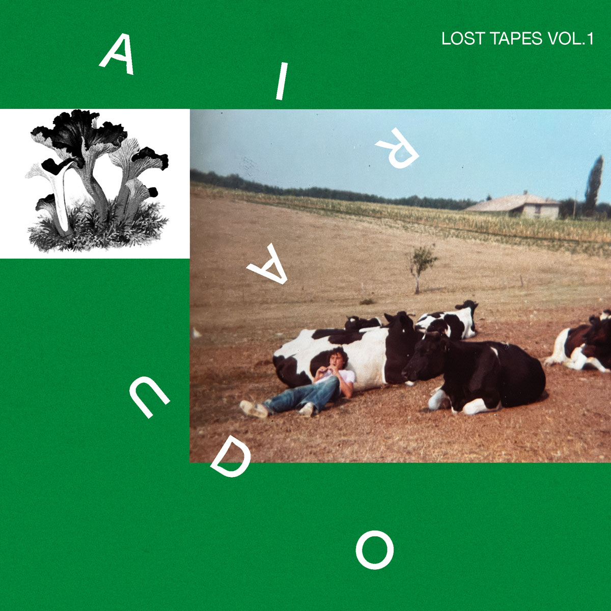 Airaudo, Lost Tapes Vol.1, Digital Album Cover